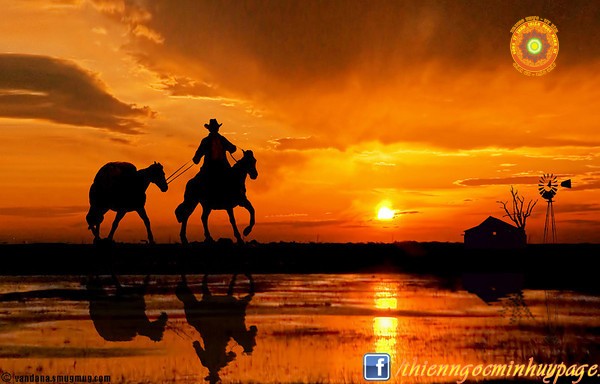 NGƯỜI VĨ ĐẠI CÓ PHẢI QUỲ GỐI XUỐNG VẪN CAO CHÓT VÓT